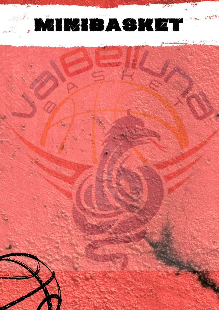 https://www.valbellunabasket.com/wp-content/uploads/2026/10/10-768x1086.png