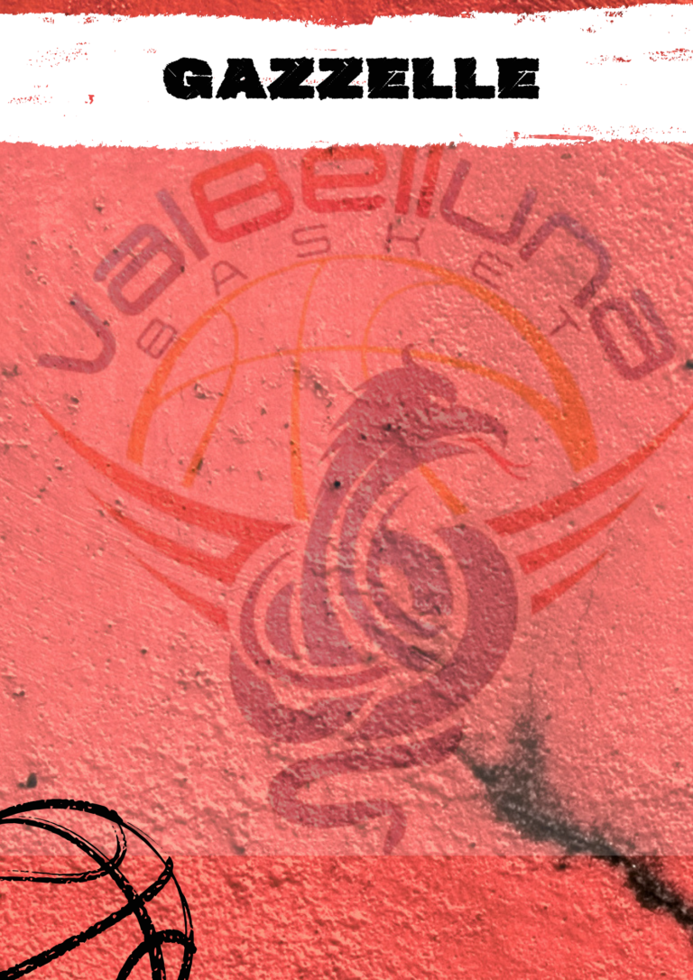 https://www.valbellunabasket.com/wp-content/uploads/2026/10/11-768x1086.png