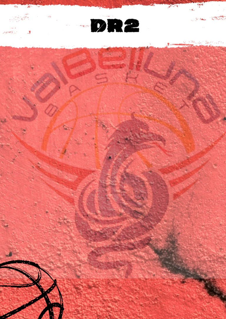 https://www.valbellunabasket.com/wp-content/uploads/2026/10/2-768x1086.png