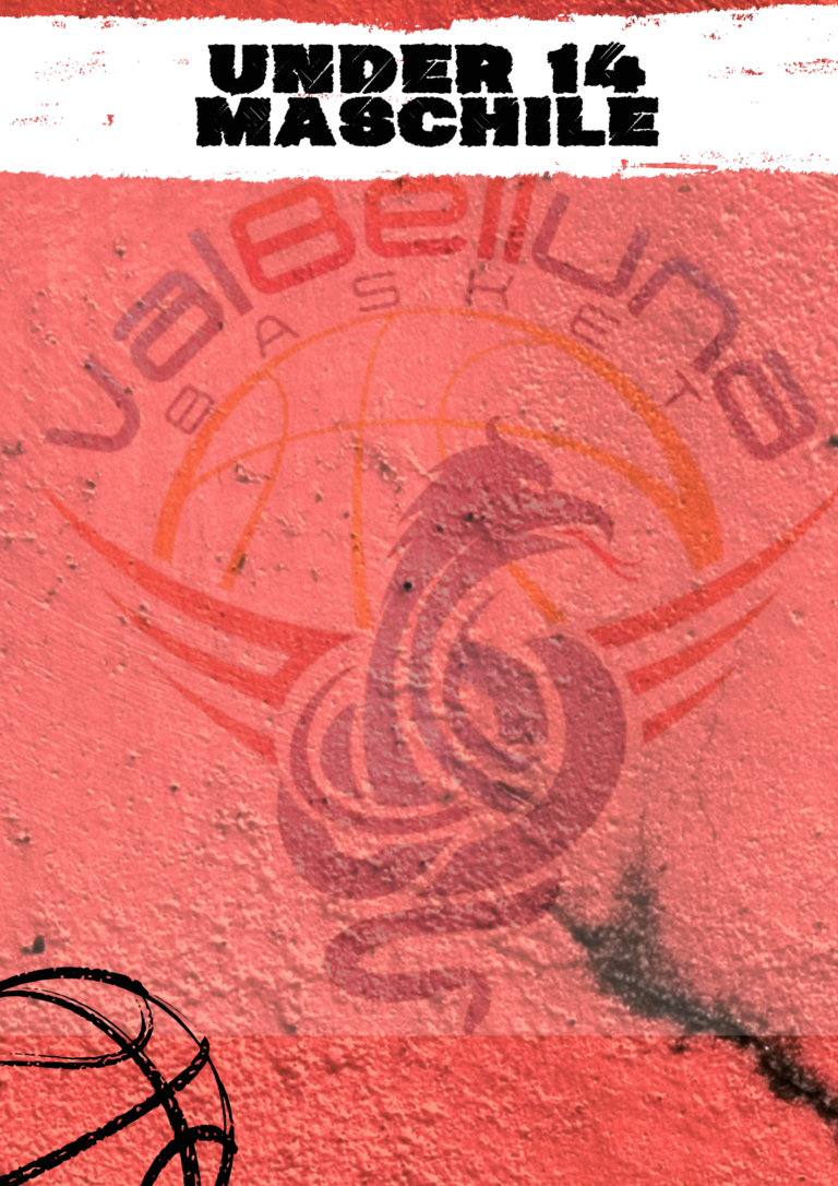 https://www.valbellunabasket.com/wp-content/uploads/2026/10/6-768x1086.png