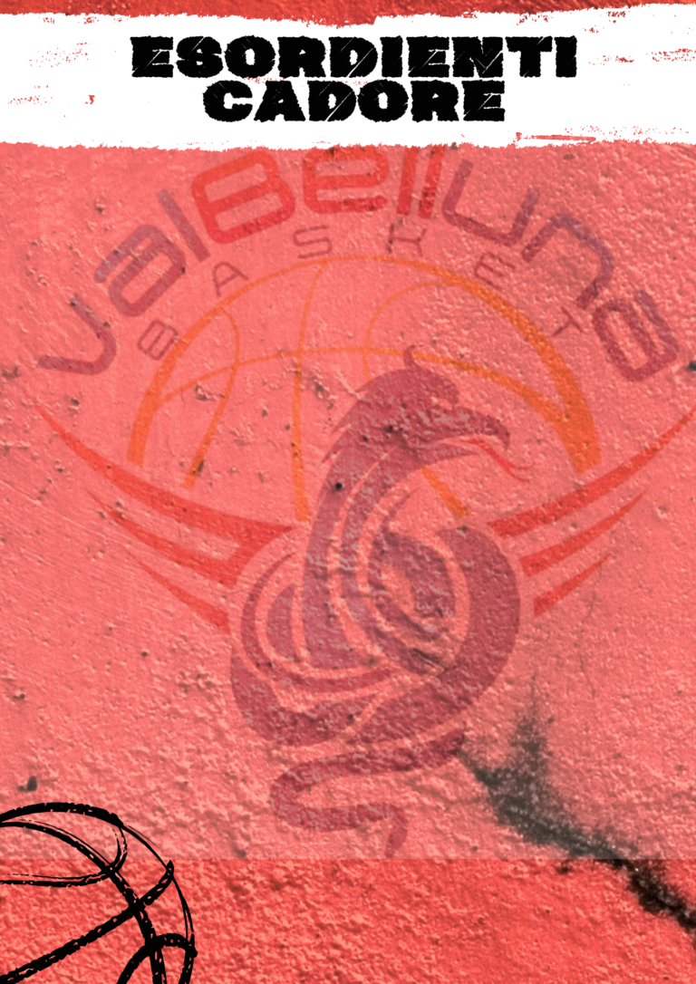 ESORDIENTI CADORE https://www.valbellunabasket.com/wp-content/uploads/2026/10/8-768x1086.png