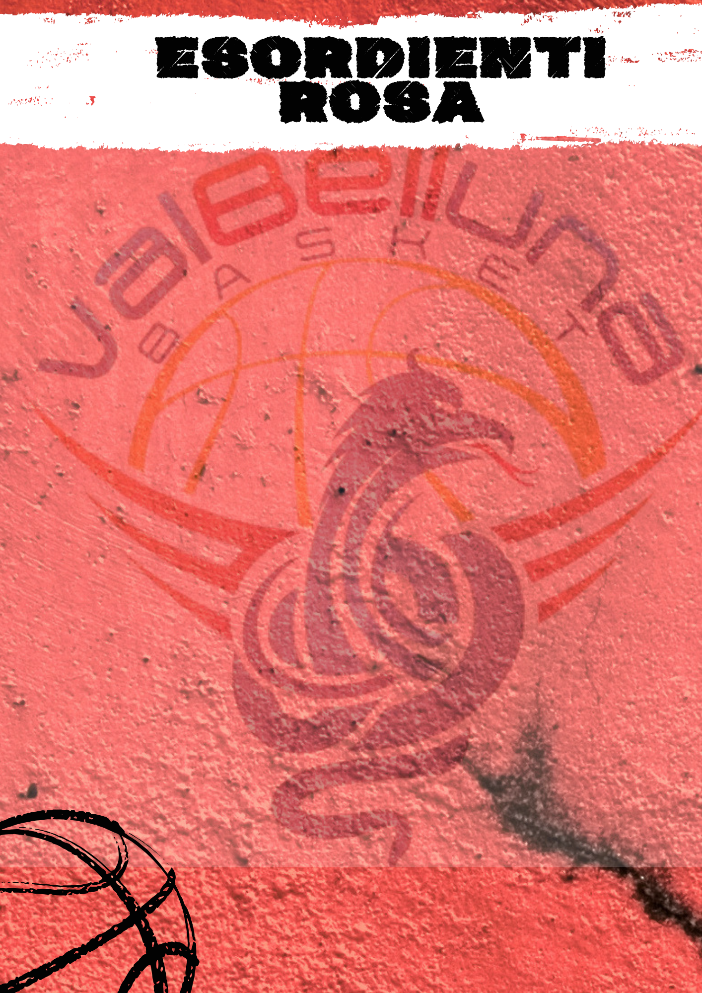 https://www.valbellunabasket.com/wp-content/uploads/2026/10/9.png
