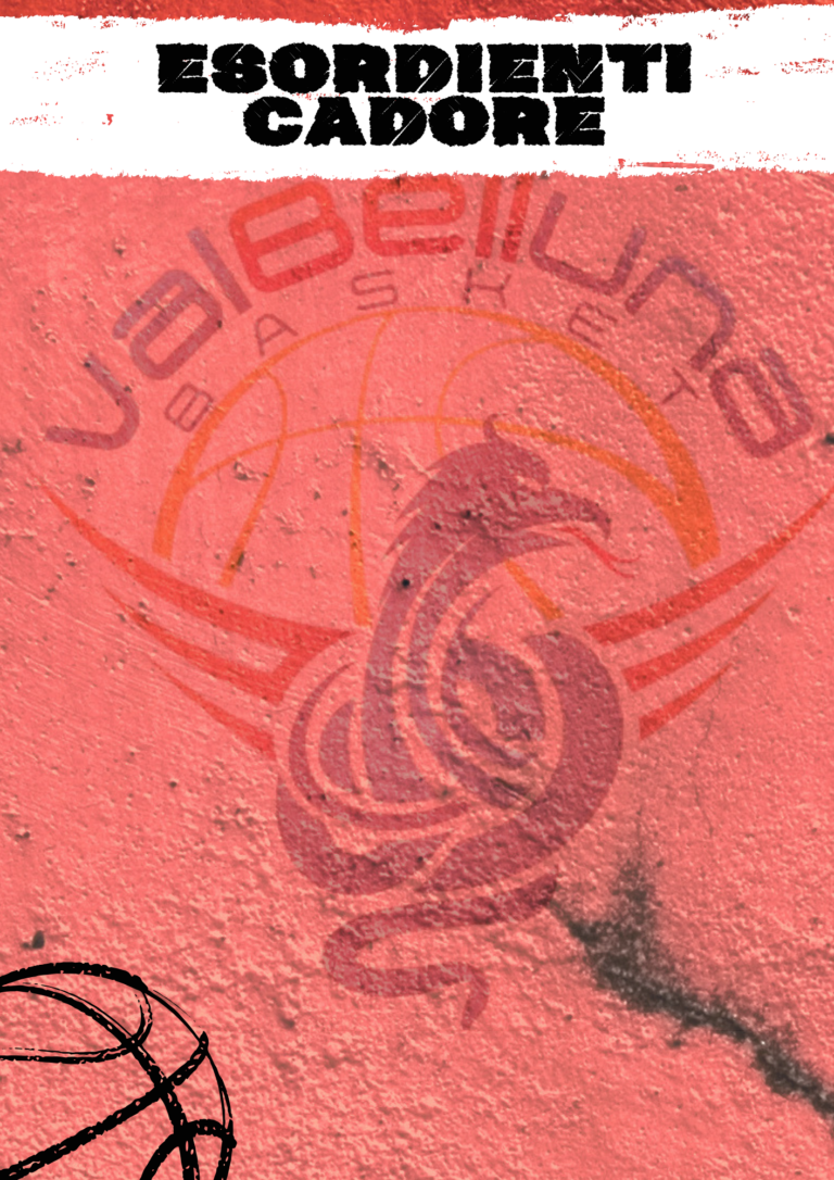 ESORDIENTI CADORE https://www.valbellunabasket.com/wp-content/uploads/2026/10/ESORDIENTI-CADORE-768x1086.png
