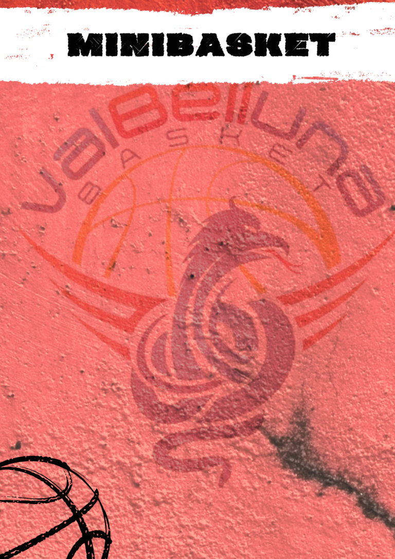 https://www.valbellunabasket.com/wp-content/uploads/2026/10/MINIBASKET-768x1086.png